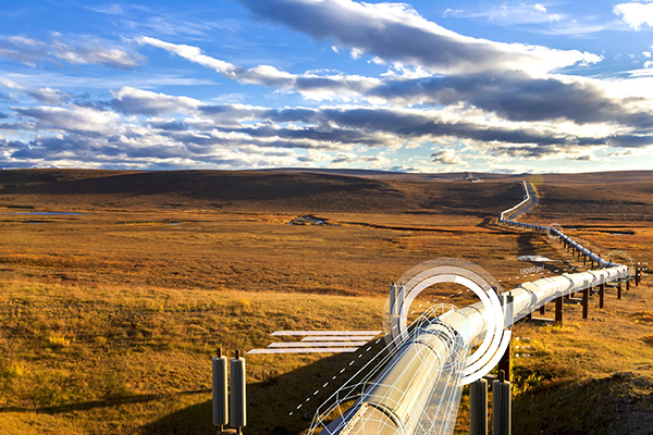 6008集团官方网站(中国)股份有限公司