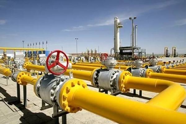 6008集团官方网站(中国)股份有限公司