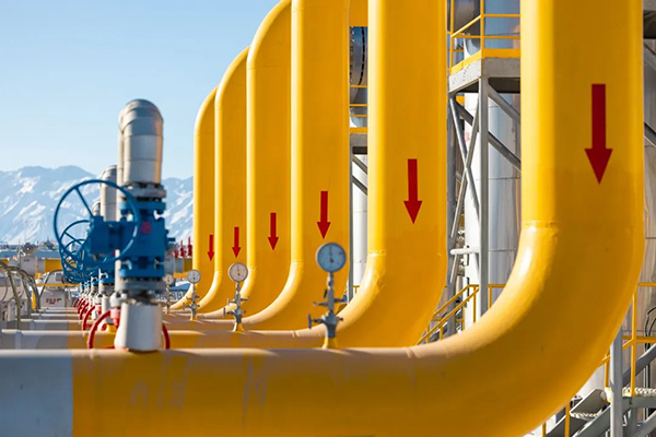 6008集团官方网站(中国)股份有限公司