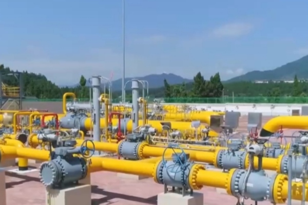 6008集团官方网站(中国)股份有限公司