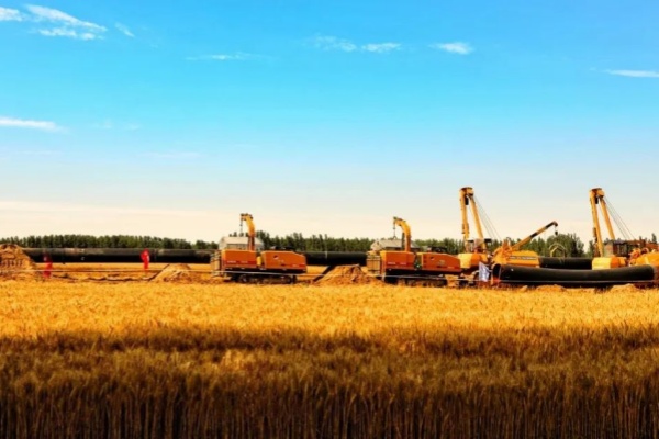 6008集团官方网站(中国)股份有限公司